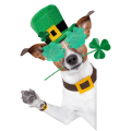Pikkukuva 4 / 10: Irish Shamrock aurinkolasit St. Patrick's Day FLAME FLAME Flame