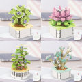 Miniatyrbillede 8 af 9: Sukkulent byggeklodsblomst A A A