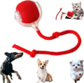 Interactive Pet Toy - Smart Rolling Ball with LED Light, 360° Automatic for Cats and Dogs, Rechargeable, Red red