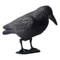 Bird and Pigeon Repellent, Animal Deterrent