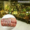 Miniatyrbild 3 av 5: Solar string for outdoor use, Christmas lighting 10m 100 LED Solar powered Decorative light string, 8 Patterns, Waterproof, Suitable for Christmas tree Yard