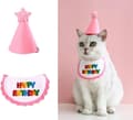 Rosa kjæledyrskjerf - Minihund og katt - Festsjal og hatt -