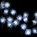 Miniatyrbilde 4 av 4: Solcelled Julelys, 30 LED Vanntette Rosehagedekorasjoner Cool White