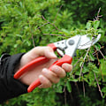 Miniatyrbillede 1 af 3: Venstrehåndet skarpbladet beskærer 25 mm x 210 mm x 65 mm