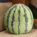 Pikkukuva 1 / 5: 35-55 cm Eläväiset Hedelmäpehmolelut Simuloitu Omena Vesimeloni Mlemon Lychee Ango Mansikka Ananas Durian Täytetty Tyyny Watermelon   B 35-55cm