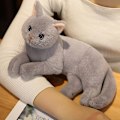 Miniatyrbilde 2 av 5: 4 Farger 31cm INS Som Ekte Liggende Katt Plysjdukke Fylt Rene Farger Grå Hvit Gul Kattunge Leke Kjæledyr Dyr Barn Gave 26cm sit brown