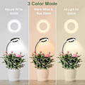 Miniatyrbild 4 av 4: Fullspektrum Växtlampa med 360-graders Svanhals, Hög Ljusstyrka, Dimbar, Clip-on LED Växtlampa för Blommor White C