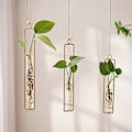 Miniatyrbild 1 av 5: Guld/svart Väggmonterad Växtföröknings Terrarium Set om 3, Provrörsvas för Hydroponisk Blomma Badrumsinredning Gåva till Kvinnor golden