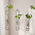 Miniatyrbild 1 av 5: Guld/svart Väggmonterad Växtföröknings Terrarium Set om 3, Provrörsvas för Hydroponisk Blomma Badrumsinredning Gåva till Kvinnor black