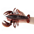 Miniatyrbillede 2 af 5: Hav Livagtig Hummer Fisk Statue Model Figur Til Hus Værelse Bordplade Dekoreret 1 stk