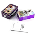 Pikkukuva 4 / 4: Iron Box Purple Edge Everyday Witch Tarot -korttipeli 10,3x6 cm