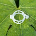 Miniatyrbillede 7 af 8: Planteklemmer til plantesupport/trellis 100-pak Gr Transparent