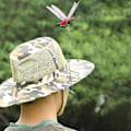 Pikkukuva 4 / 4: Uusi päivitetty (3 kpl:n setti) Dragonfly Wingman Clip-On Luonnollinen ja orgaaninen hirvi- ja paarmakarkote