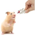 Miniatyrbillede 5 af 5: 5 stk. Fuglefoderholder i rustfrit stål til foderautomater, fuglefoderholderklemme, fugleburtilbehør til papegøje, lærker, hamster, kanin