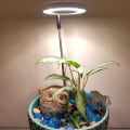 Miniatyrbilde 6 av 7: LED full spectrum plantelampe 3 lysmoduser plantelys voksende lys med timer for innendørs planter, grønnsaker, blomster