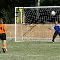 Miniatyrbild 3 av 8: Fotbollsträningsnät Utrustning Träningsmål Nät Gul