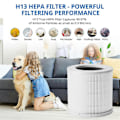 Miniatyrbillede 4 af 5: Luftrenserfilter til Luftrenser 4 Compact Filter Smart Luftrenser PM 2.5 med Aktivt Kulfilter