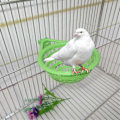 Pikkukuva 3 / 5: 2 kpl Lintupesä Muoviset Ontot Ripustettavat Häkit Munien Kuoriutumistyökalu Pan Finchs Parrot Canary