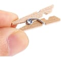 Miniatyrbild 4 av 5: 100 Stycken Mini Träklämmor Fotoklämmor Färgade Hantverk, Natur