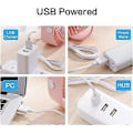 Pikkukuva 4 / 5: Dww-(Rose) Mini USB-pöytätuuletin, 3 nopeutta, USB-virtalähde, voimakas tuuli, hiljainen toiminta, sopii kotiin, toimistoon,