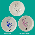Miniatyrbilde 2 av 5: Magisk Sakura Kirsebær/Plomme/Peach Blossom Sakekopp Fargeskiftende med Is/Varmt Vann Keramikkkopp for Restaurant Husholdning Plum Blossom