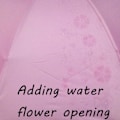 Miniatyrbild 2 av 5: Damparasoll Paraply UV-skydd för kvinnor Parasol Lätt Anit-UV Paraplyer för sommar solskydd Princess Pink