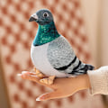 Miniatyrbilde 2 av 4: Duegave, Utstoppede Due Legetøj, Udstoppede Due, Udstoppede Due Legetøj, Due Plys Udstoppede Fugl Udstoppede Legetøjsdyr Fugl, 20CM