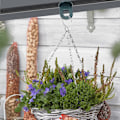 Miniatyrbilde 5 av 5: 50 Stk. Drivhuskrok, Slitesterke Plastklips for Drivhus, (Gre MUC