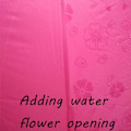 Miniatyrbild 2 av 5: Damparasoll Paraply UV-skydd för kvinnor Parasol Lätt Anit-UV Paraplyer för sommar solskydd Rose Red