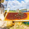 Miniatyrbild 5 av 7: Bihållare verktygsskrapa polerad rostfritt stål biodling utrustning verktyg för biodlare 1