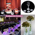 Miniatyrbilde 2 av 5: LED-underlag, 12-pakke lysende underlag, LED-flaskelys