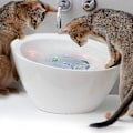 Miniatyrbillede 5 af 5: 5 stk Elektroniske Fiske Baby Sommer Badelegetøj Kæledyr Kat Legetøj Svømmende Robotfisk Med LED Lys Vand Svømmebassin Badekar Legetøj