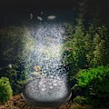 Miniatyrbillede 6 af 8: Akvarie luftsten, fiskebeholder, boblestein, erstatningsskiver, ilttank, akvarietilbehør