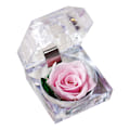 Miniatyrbilde 3 av 5: 1 stk Konservert Frisk Roseblomst i Glasskuppel med Bånddekorasjon Rosegave til Valentinsdag Jubileum Bursdag (Lys Rosa)