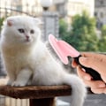 Miniatyrbilde 5 av 5: Børste for hunder og katter, pelspleiekam for hunder og katter med langt og kort hår - rosa