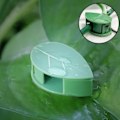 Miniatyrbilde 5 av 5: Selvklebende planteholdere - Smarte usynlige planteclips 20-pakning 20 stk