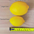 Miniatyrbillede 3 af 4: 10 stk. Kunstige citroner, naturtro simulering, falsk frugt til hjemmekøkken, festdekoration, gul