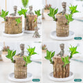 Miniatyrbillede 2 af 5: Mini brasiliansk træpotteplanter Ren luft Lykkelig træplantepotte Hydroponiske planter Hydroponisk træ 7-8 Cm