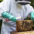Miniatyrbild 7 av 7: Bihållare verktygsskrapa polerad rostfritt stål biodling utrustning verktyg för biodlare 1