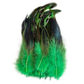 Miniatyrbillede 1 af 4: 50 stk Naturlige Hanehale Fjer 13-18cm Hanefjer Sorte Fjer Til Karneval Halloween Julehåndværk Dekoration green