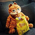 Miniatyrbillede 4 af 4: Garfield bamse plyslegetøj 30cm