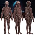Stranger Things 4 Vecna ​​​​Cosplay Clothes Halloween Børnekostumer 110Y