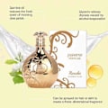Miniatyrbilde 5 av 5: Eau de Toilette for Menn - Frisk Duft