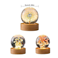 Miniatyrbilde 5 av 5: 2024 Ny blomst isballlampe, glassmasos, gaver til kvinner, mor, barn