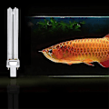 Miniatyrbillede 2 af 2: 2 stk. 11w Ultraviolet UV Desinfektionslys Lamper UV Steriliseringslamper til Sterilisator Akvarium (G23 Lampefod)