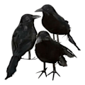 Miniatyrbillede 2 af 4: 6 x Halloween Dekoration Ravn Ravn Kunstig Ravn med Fjer Sort Fugl