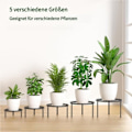 Miniatyrbillede 6 af 7: Blomsterstand, plantestand, blomsterpottestand, blomsterstøtte, til have og altan, 5-delt sæt