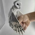 Miniatyrbillede 1 af 2: 3D-printet Artikulerende Tårnugle Realistisk Ugle med 16,5 cm Vingefang Dyreindretning Grey