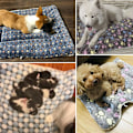 Miniatyrbillede 5 af 5: Kæledyr Kat Hund Måtte Hvalp Varmt Blødt Tæppe Seng Pude Madras Bean paste white 89*68cm