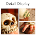 Miniatyrbilde 7 av 8: Halloween Hodeskalle Spøkelse Hånd Statue Skrekk Hagepynt Resin Conch Parodi Dekor